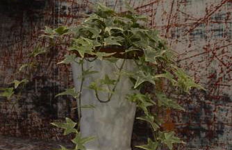 Eifel Kate, relaxen mit Sauna und Whirlpool - Foto 33