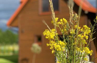 Osada Skorupki - Całoroczne domki na Mazurach - Foto 12