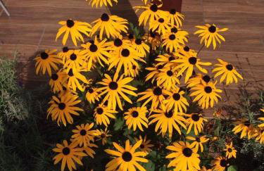 Dom wakacyjny Pawelkowo - Foto 39