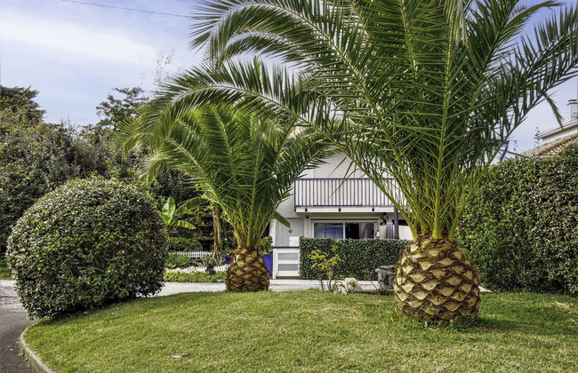 Le Fronton - Foto 19