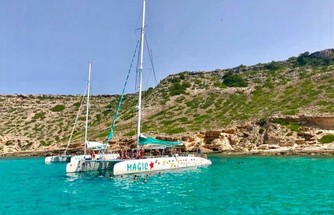 Paseo en catamarán por la bahía de Palma - Photo 3