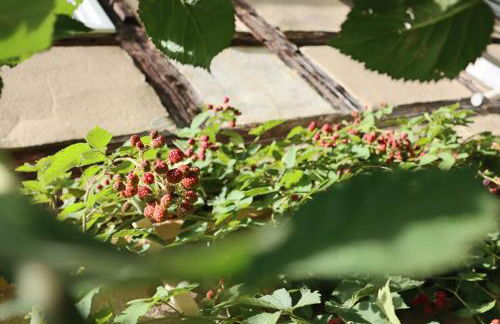 Gemütliches Schmuckstück mit zwei Schlafzimmern - Foto 15