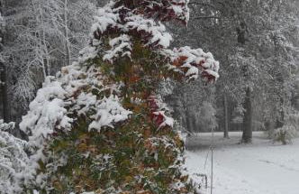 Ferienwohnung Huus ton witten Barg - Foto 12