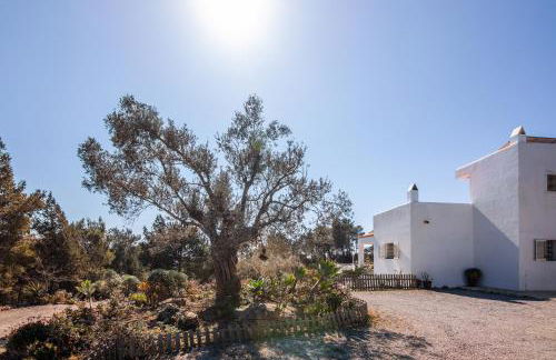 Villa Es Socorrat - Foto 38