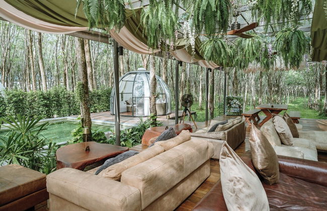 Timber Society Boutique Hideaway - Photo 52