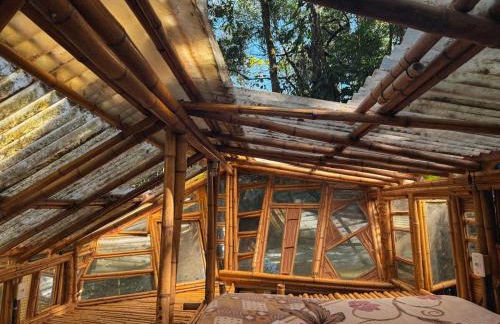 Casa Bambu Floresta Amada - Photo 9