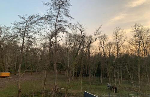 Villa Brisson - Foto 24