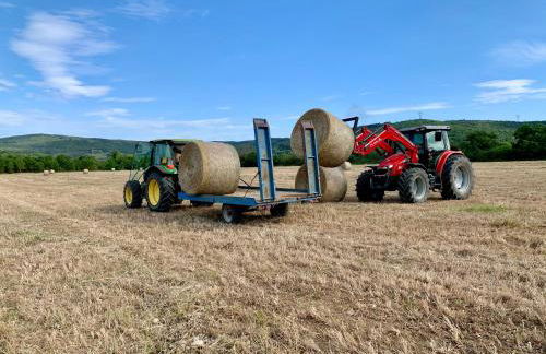 Podere I Massoni - Foto 18