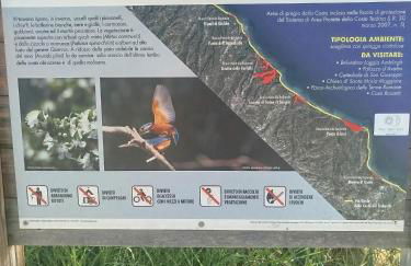 DANTE Apartments - Foto 11