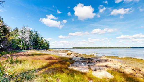 Harbor Myst - Foto 2