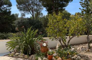 Villa Baladrar - Foto 27