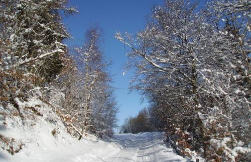 Ferienwohnung Sauerlandblick - Foto 52