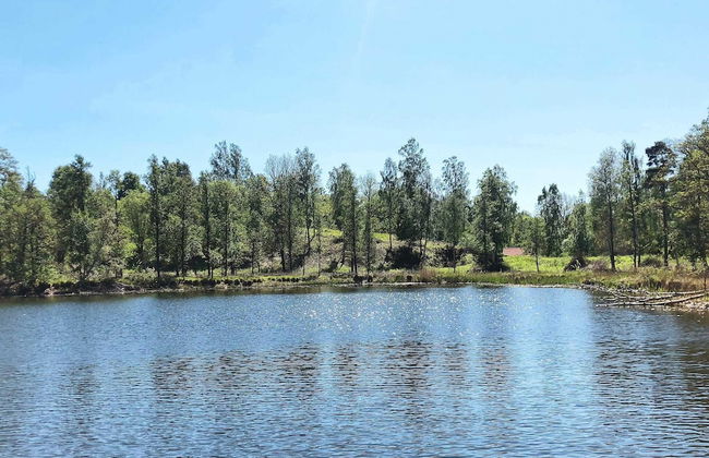 4 Person Holiday Home in Axvall - Foto 5