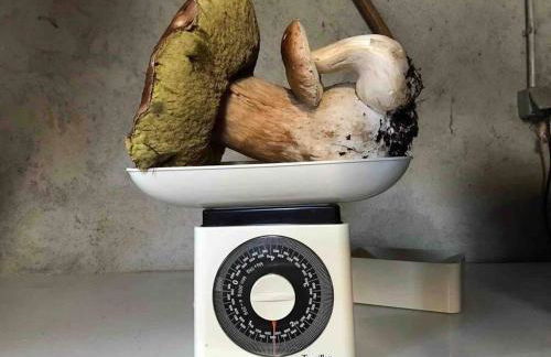 Le hameau de Donnedevie - Foto 10