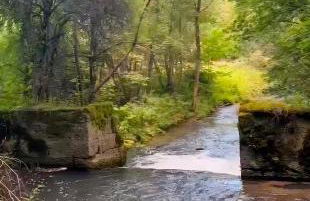 Ferienwohnung Högenbachtal - Foto 24