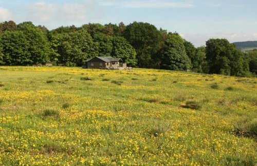 Snipe - Bleasdale - Foto 24