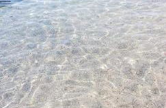 Costa Dorada Miami - Foto 15