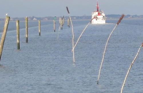 Huus Wattenmeer in Neßmersiel an der Nordsee - Foto 34