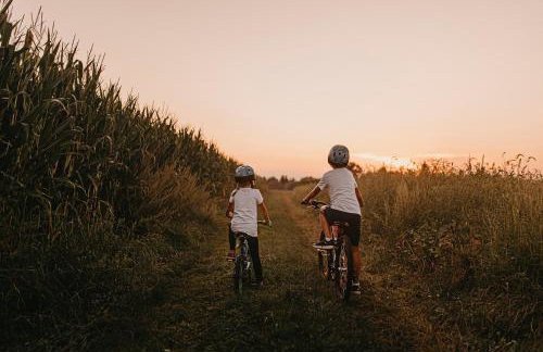 Apartments Terme Sveti Martin - Foto 20