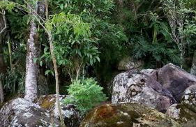 Santo Chalé - Foto 28