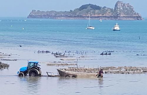 belle brise - Foto 23