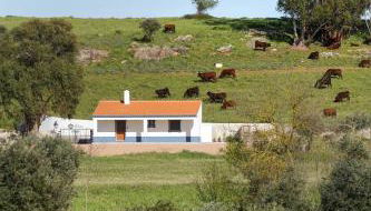 Monte de Matacães - Foto 4