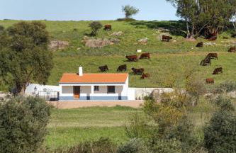 Monte de Matacães - Foto 4