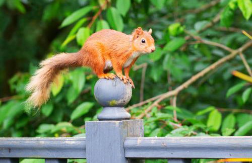 Modern and Stylish WoodHous - Photo 30