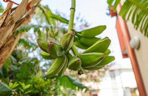 Monteverdi Apartments - Studio 1 - Foto 17