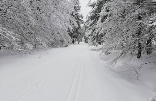 FeWo 12 45qm bis 3 Pers nahe Winterberg - Foto 21