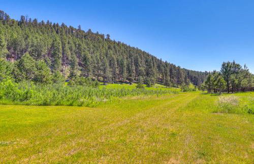 Rapid City Cabin with Hiking and ATV Trail Access - Foto 25
