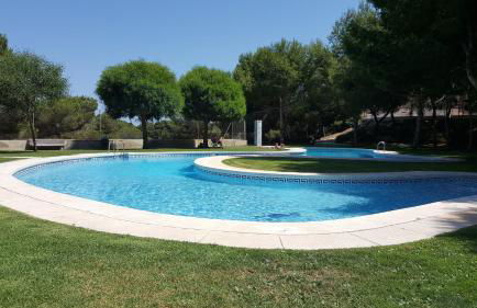 Altos de Campoamor - Foto 7