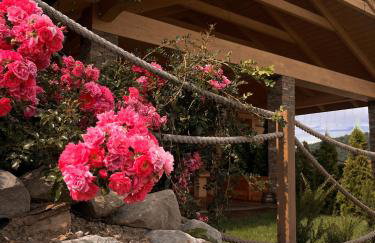 Apartamenty Wichrowe Wzgórze - Foto 1