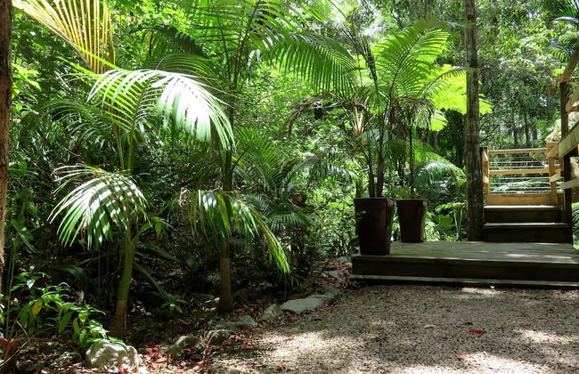 Treetops Accommodation Montville - Photo 54