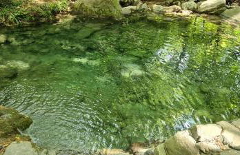 Casa elisa - Foto 24