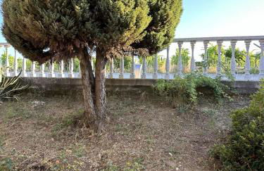 Quinta da Touça - Foto 11