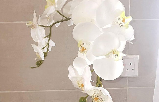 Gorgeous 1-bed Apartment in Harare - Photo 10