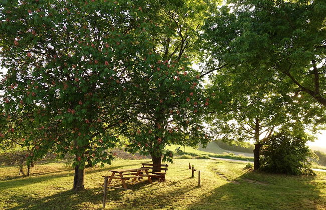 Cascina Alberta - Foto 21