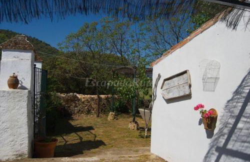 Finca La Vicacaria LIMONERO - Foto 6