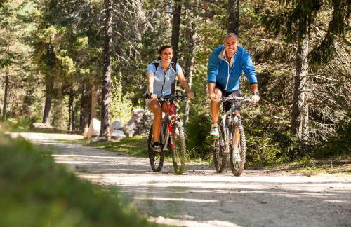 Haus Pichler Apartment - Photo 24