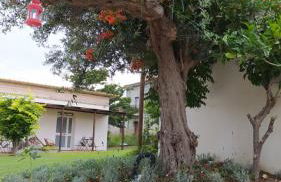 Relais Il Giardino fra gli Ulivi - Foto 31