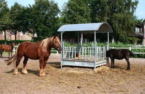 Ferienhof Peter - Foto 37