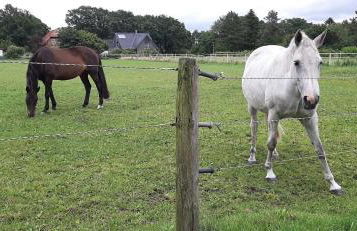 Ferienhaus Hof Amelung - Foto 25