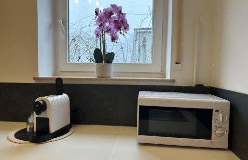 Moderne FeWo nahe Mainz für 4 Personen - Photo 32