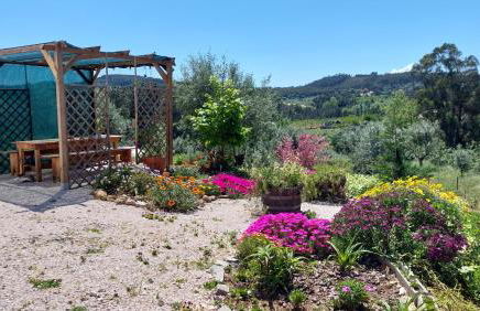 Quinta De Oliveiras - Foto 39