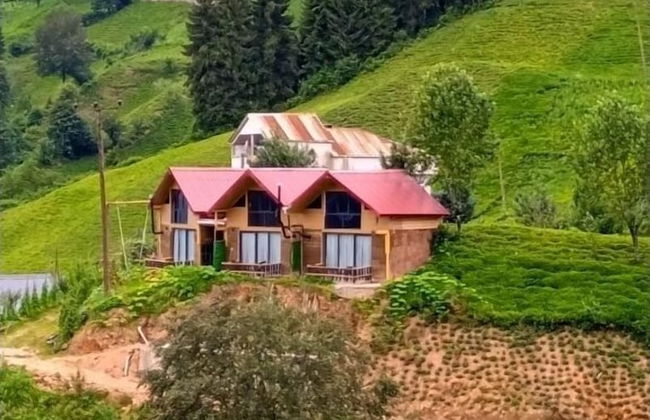 Kamelya Dag Evleri - Foto 8