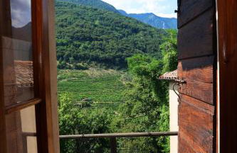 Casa Pracol - Photo 29