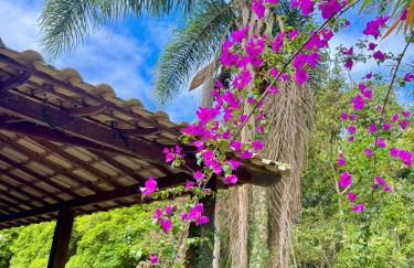 Sítio em Petrópolis Natureza Descanso Família e Amigos - Foto 18