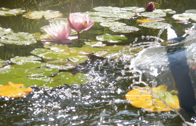 Agriturismo Poggio Alle Lame - Foto 76