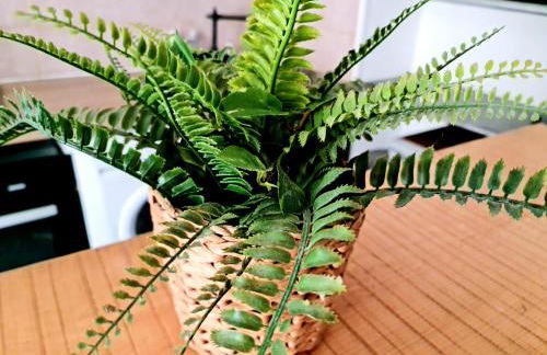 LE PETIT THAI Appart 2 PIECES ZEN CENTRE VILLE - Foto 9